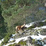 Appartement T4 De 68 M² Avec Terrasse Et Casier à - Fr-1-234-344 *