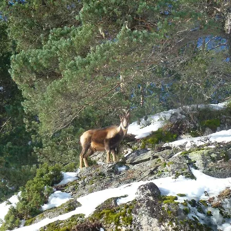 Lägenhet Appartement T4 De 68 M² Avec Terrasse Et Casier A Ski - Fr-1-234-344 *